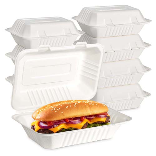 OEM Sugarcane Bagasse Food Container