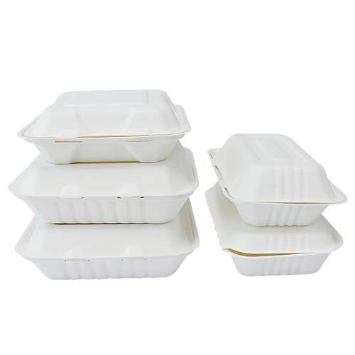 OEM Sugarcane Bagasse Food Container