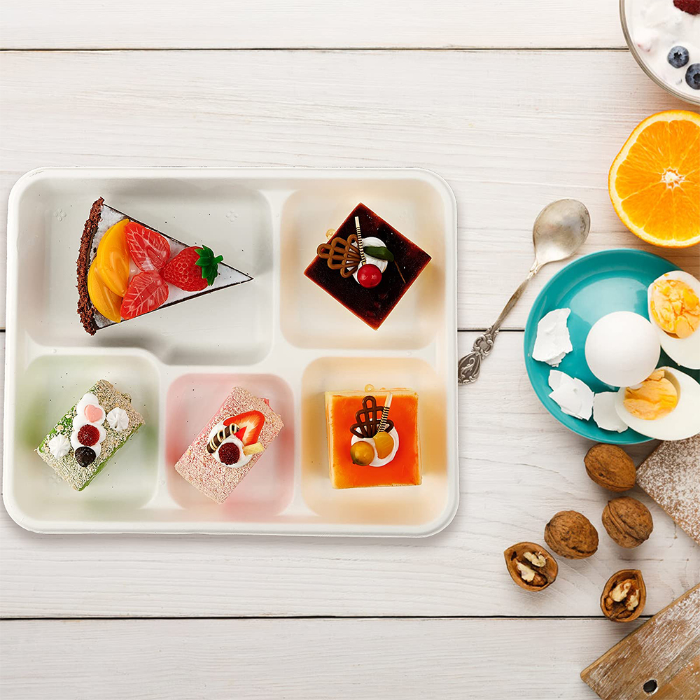 Sugarcane Airline Meal Tray