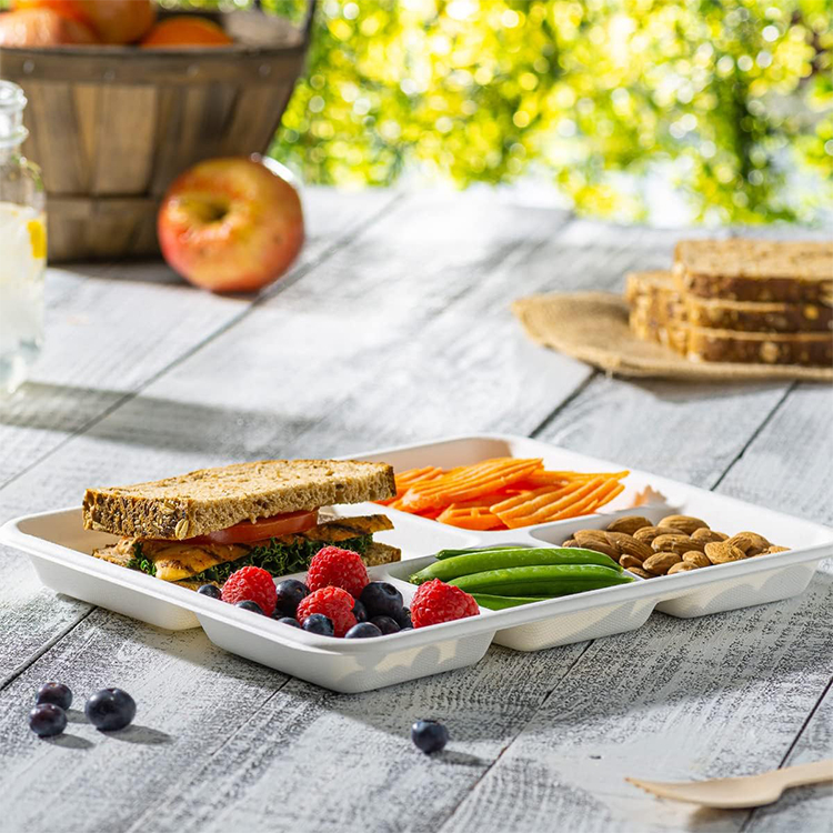 Sugarcane Airline Meal Tray