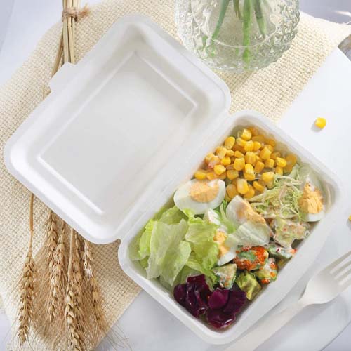 Sugarcane Bagasse Clamshell Container