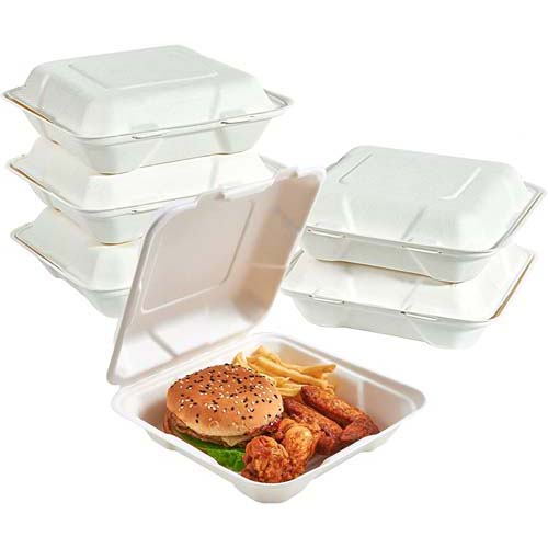 Sugarcane Bagasse Clamshell Container