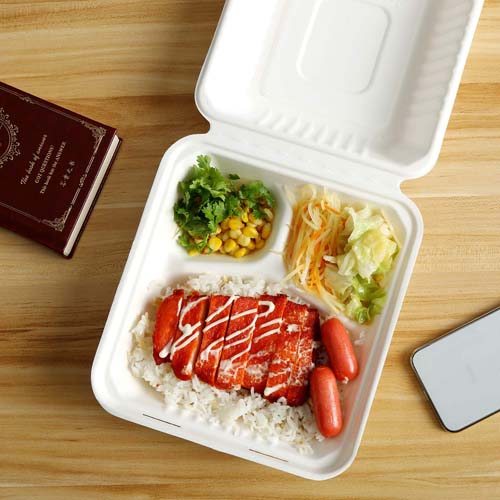 Sugarcane Bagasse Fast Food Box