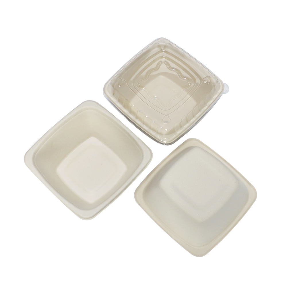 Sugarcane Bagasse Food Bowl