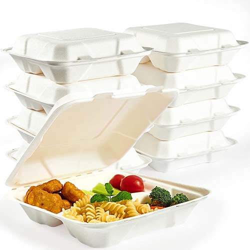 Sugarcane Bagasse Food Box