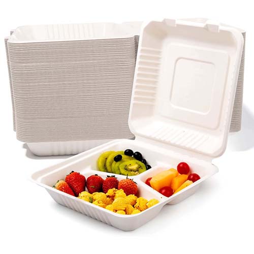 Sugarcane Bagasse Food Box