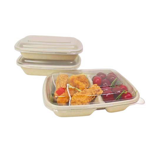 Sugarcane Bagasse Food Container