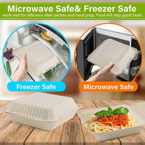Sugarcane Bagasse Food Packaging Container
