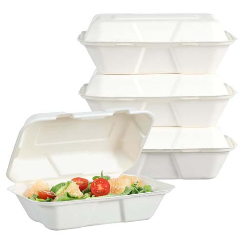 Sugarcane Bagasse Food Packaging Container