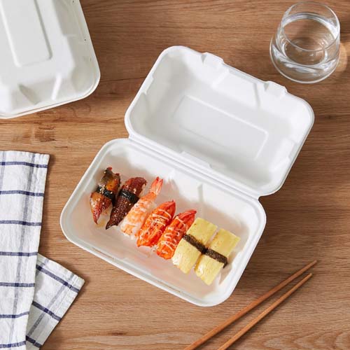 Sugarcane Bagasse Food Packaging Container