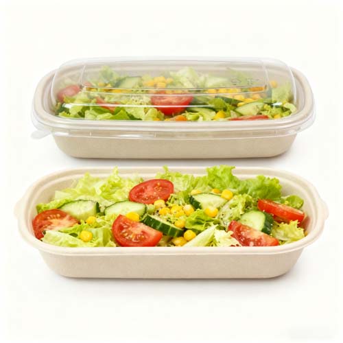 Sugarcane Bagasse Lunch Box