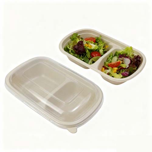Sugarcane Bagasse Lunch Box With Lid