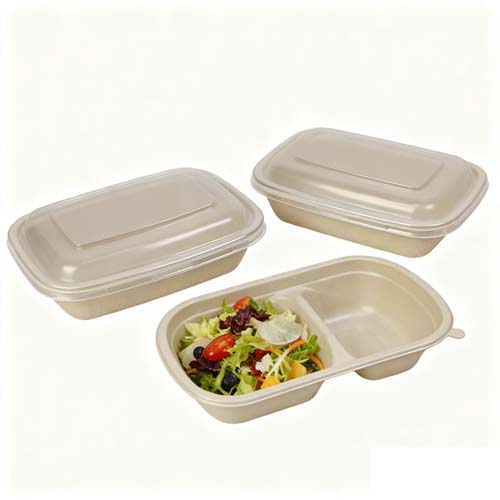 Sugarcane Bagasse Lunch Box With Lid