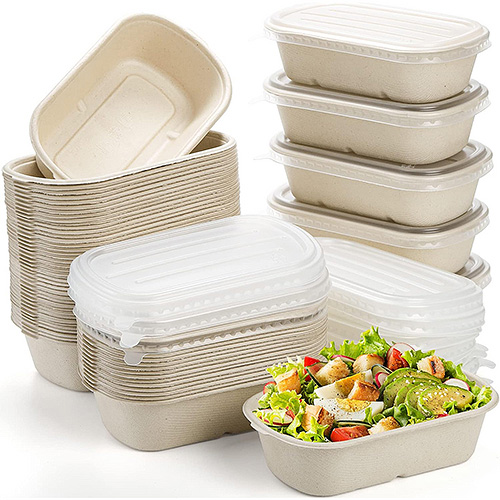 Sugarcane Bagasse Lunch Box With Lid
