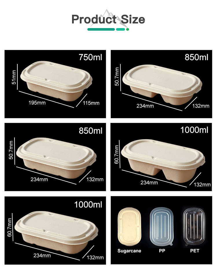 Sugarcane Bagasse Lunch Box With Lid