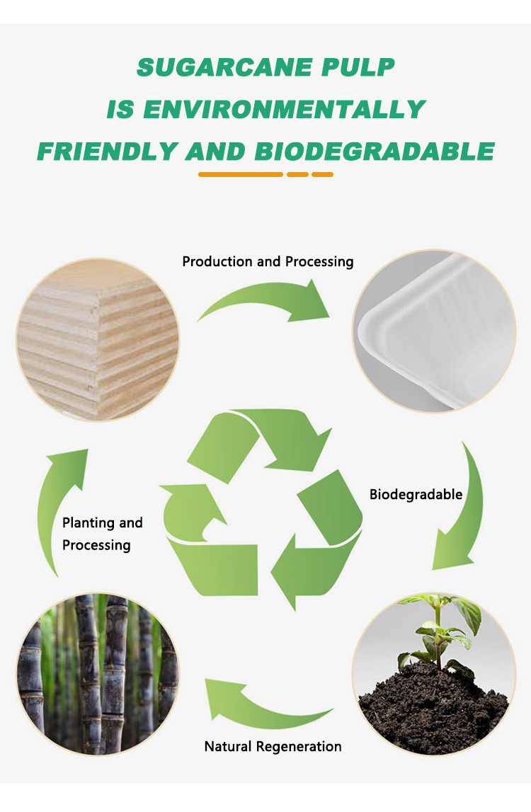 Sugarcane Bagasse Lunch Box With Lid