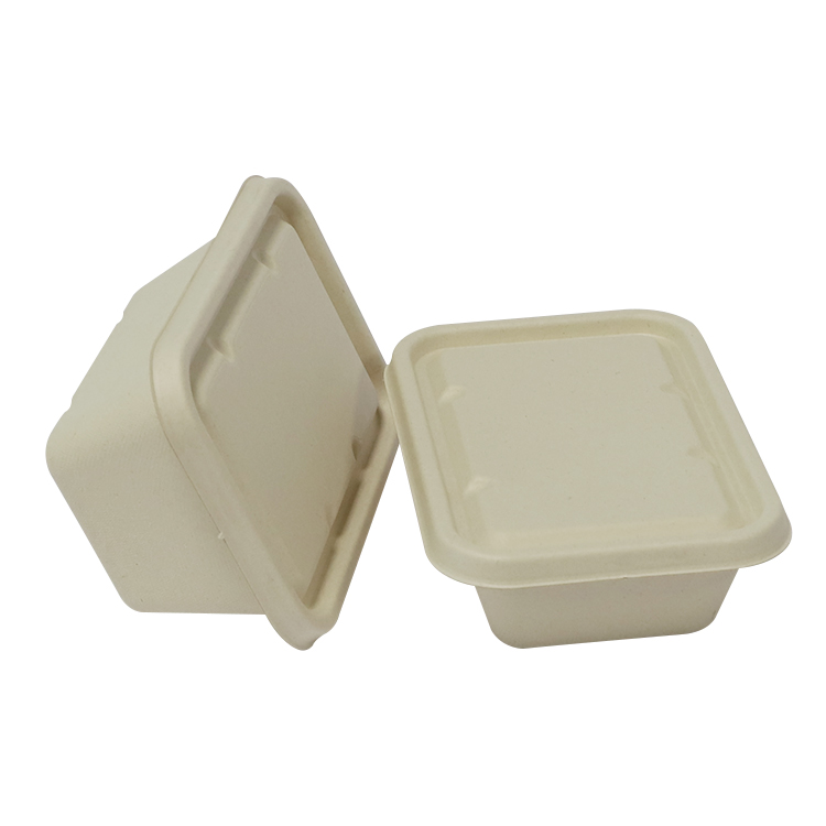 Sugarcane Bagasse Meal Container