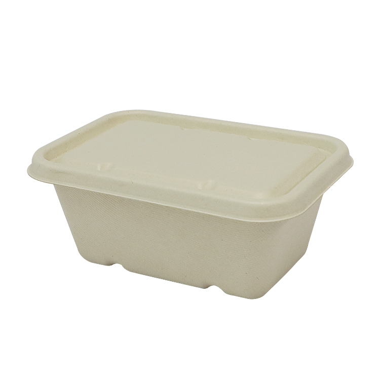 Sugarcane Bagasse Meal Container