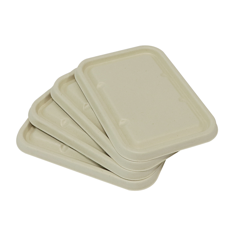 Sugarcane Bagasse Meal Container