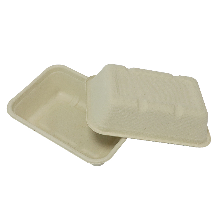Sugarcane Bagasse Meal Container