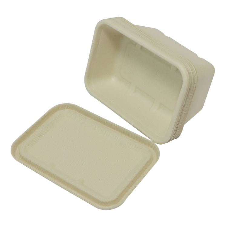 Sugarcane Bagasse Meal Container