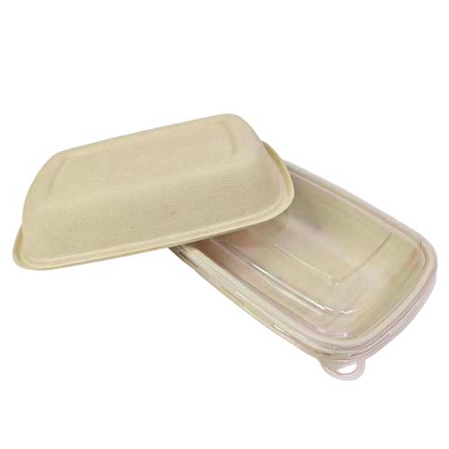 Sugarcane Bagasse Meal Prep Container