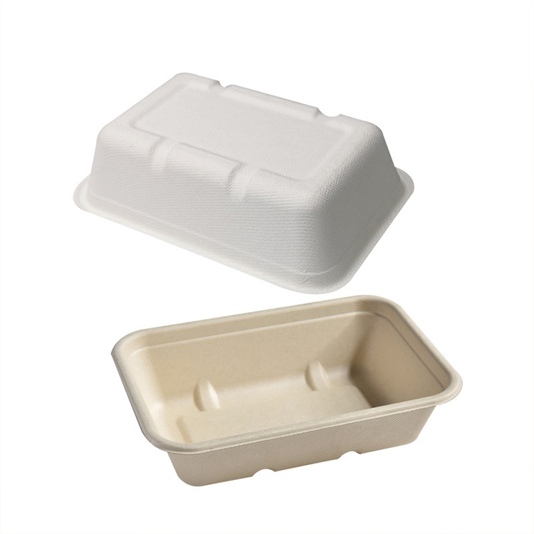 Sugarcane Bagasse Microwave Safe Container