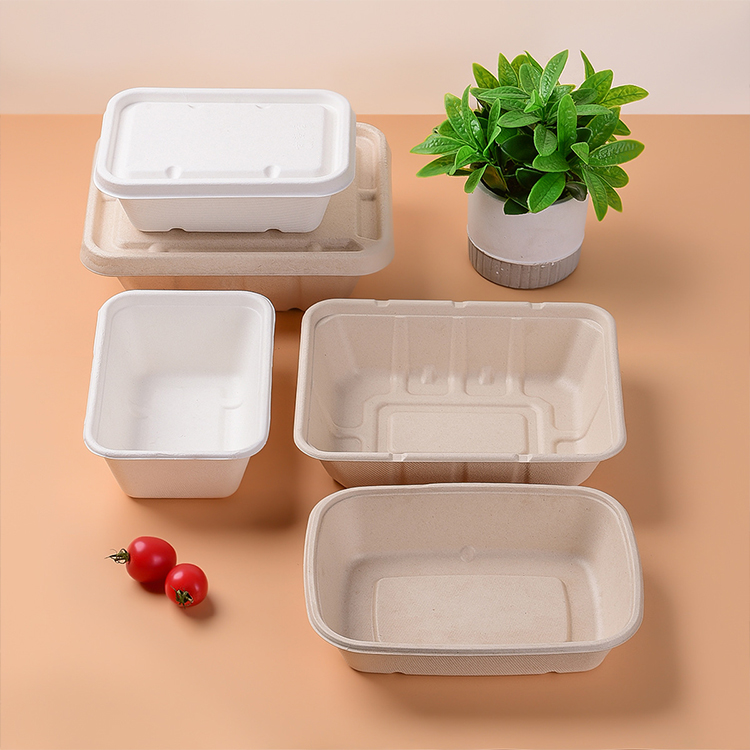 Sugarcane Bagasse Microwave Safe Container