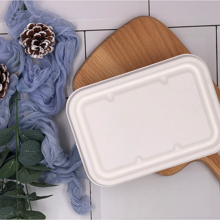 Sugarcane Bagasse Microwave Safe Container