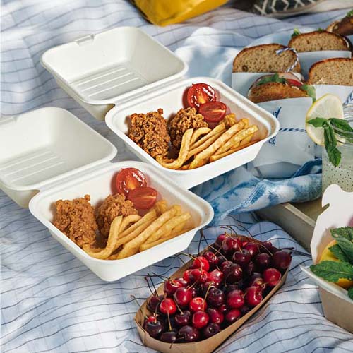 Sugarcane Bagasse Packaging Box