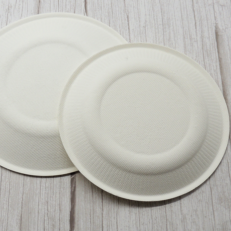 Sugarcane Bagasse Plate