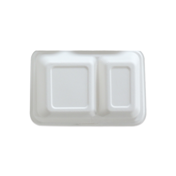 Sugarcane Bagasse Restaurant Food Container