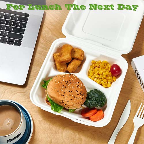 Sugarcane Bagasse Sandwich Box