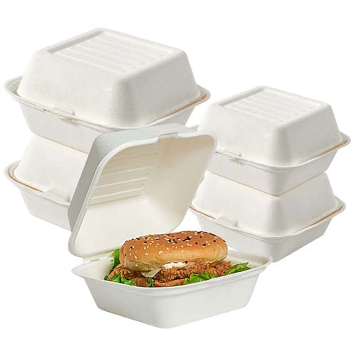 Sugarcane Bagasse Sandwich Box