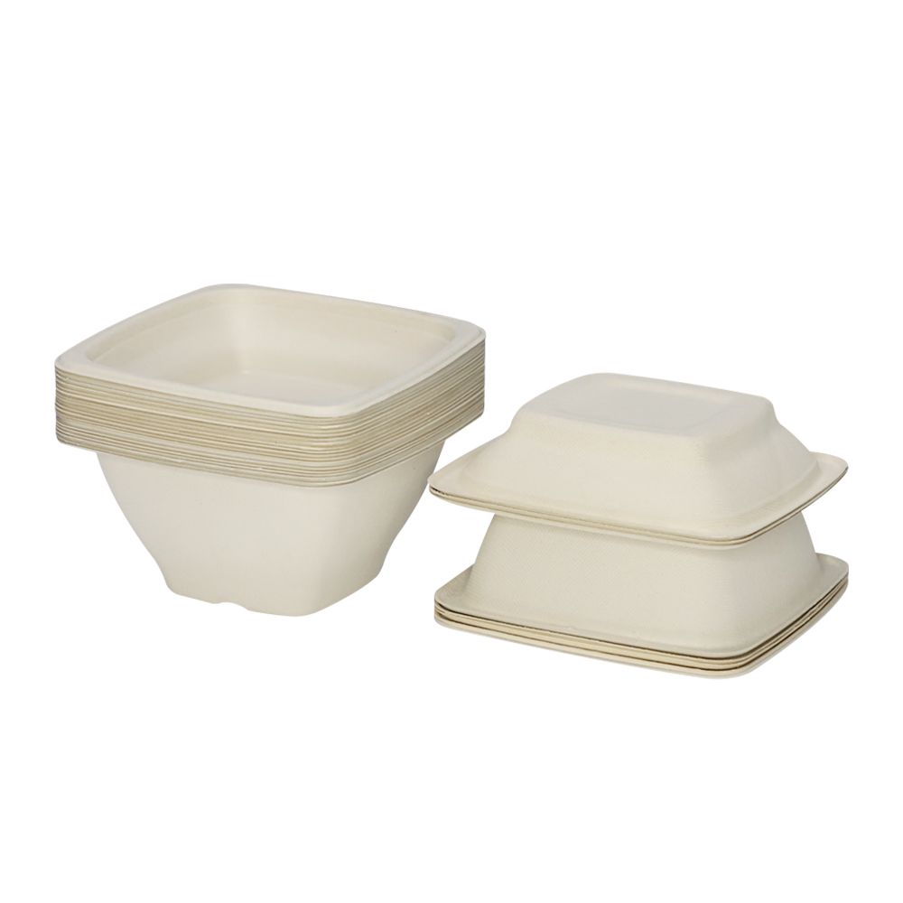 Sugarcane Bagasse Square Bowl