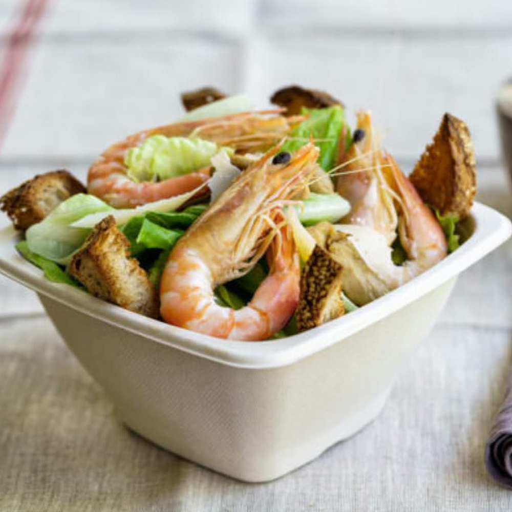 Sugarcane Bagasse Square Bowl