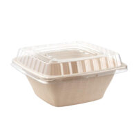 Sugarcane Bagasse Square Bowl