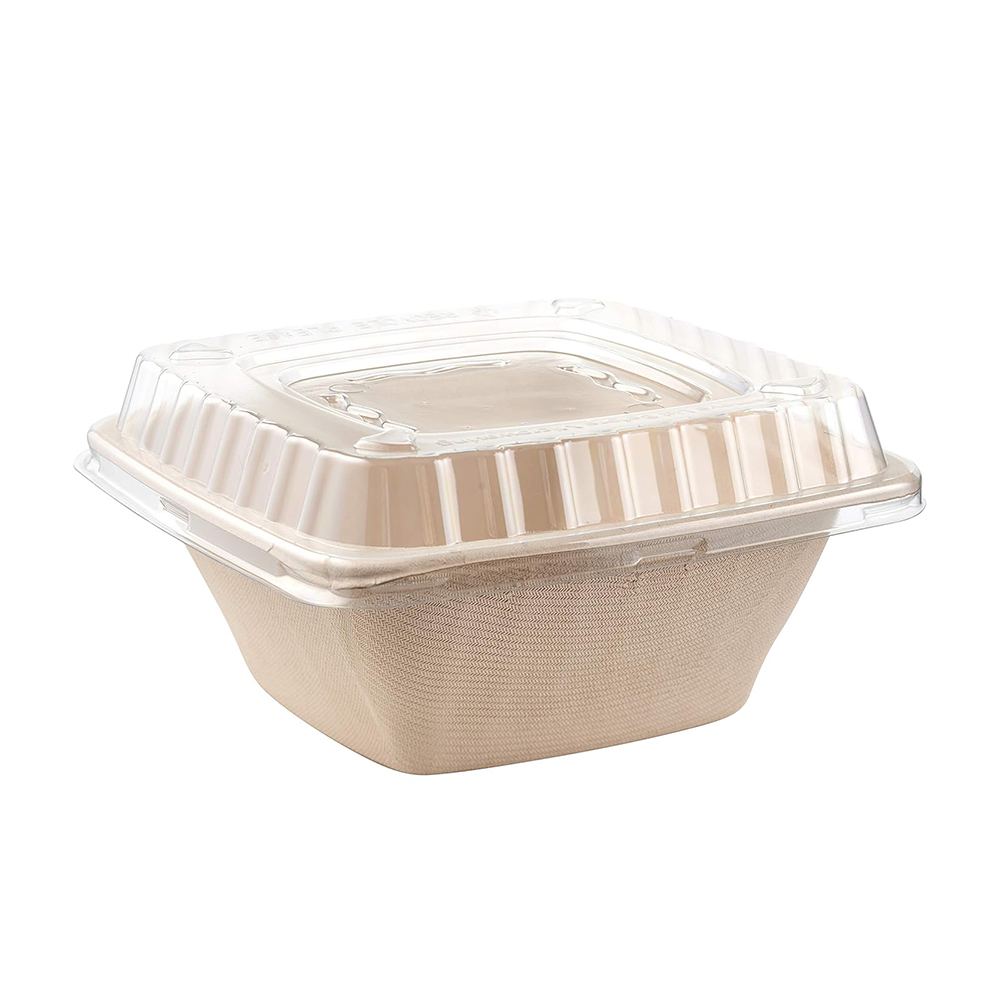 Sugarcane Bagasse Square Bowl