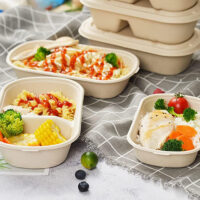 Sugarcane Bagasse Takeaway Food Container