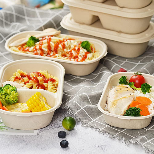 Sugarcane Bagasse Takeaway Food Container