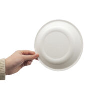 Sugarcane Dinner Plate