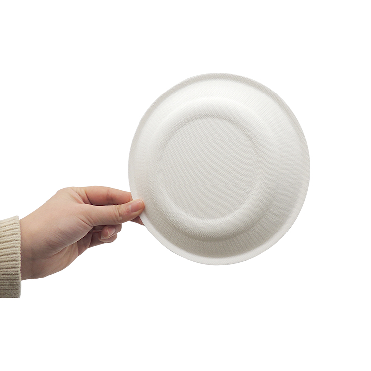 Sugarcane Dinner Plate