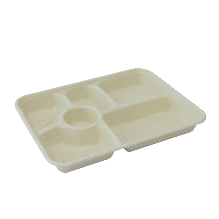 Sugarcane Food Tray