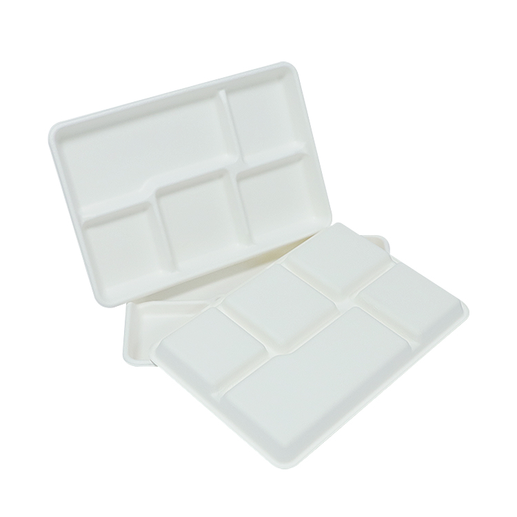 Sugarcane Food Tray
