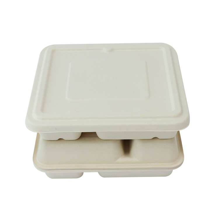 Sugarcane Food Tray