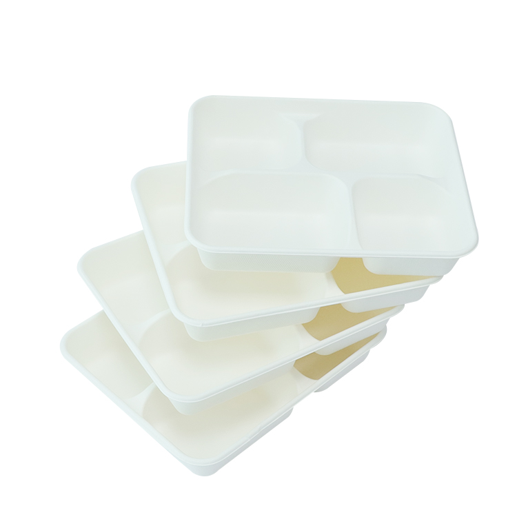 Sugarcane Food Tray