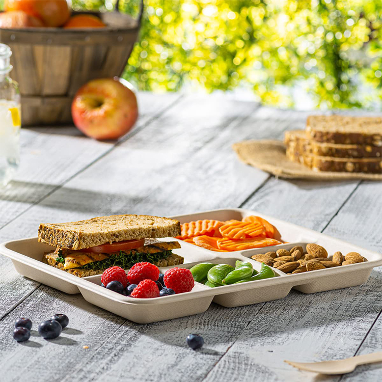 Sugarcane Food Tray