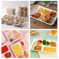 Sugarcane Fruit Tray