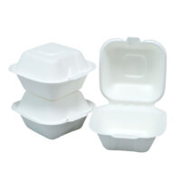 Sugarcane Hamburger Clamshell Box