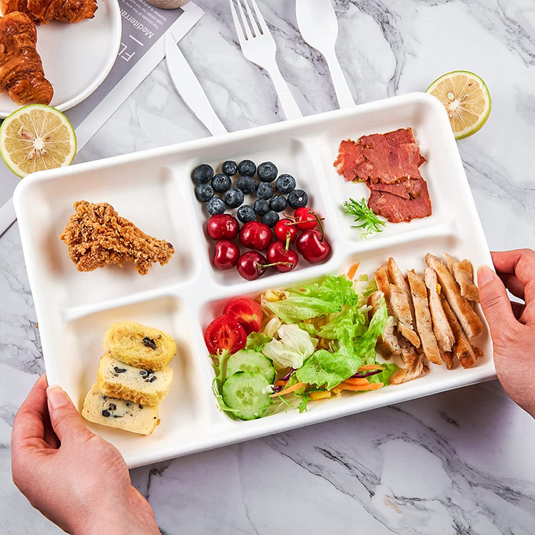 Sugarcane Lunch Tray
